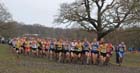 Start of the senior mens Northern Cross Country Champs, Knowsley Safari Park. Photo: David T. Hewitson/Sports for All Pics